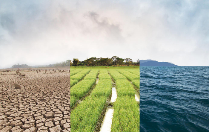 Los riesgos del cambio climático